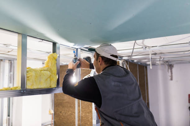 Best Insulation Installation Services in Orlovista, FL