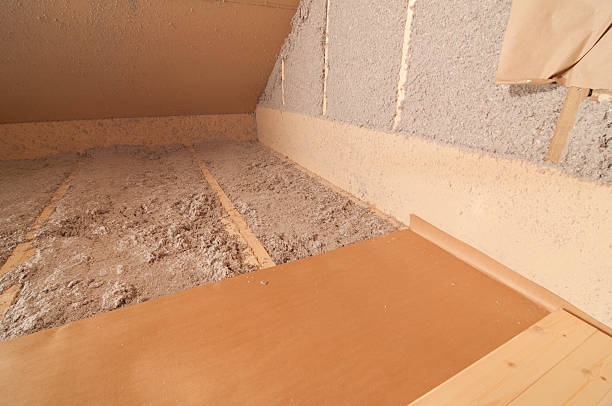 Best Insulation Maintenance and Repair in Orlovista, FL
