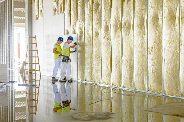Best Commercial Insulation in Orlovista, FL